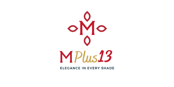 MPLUS13