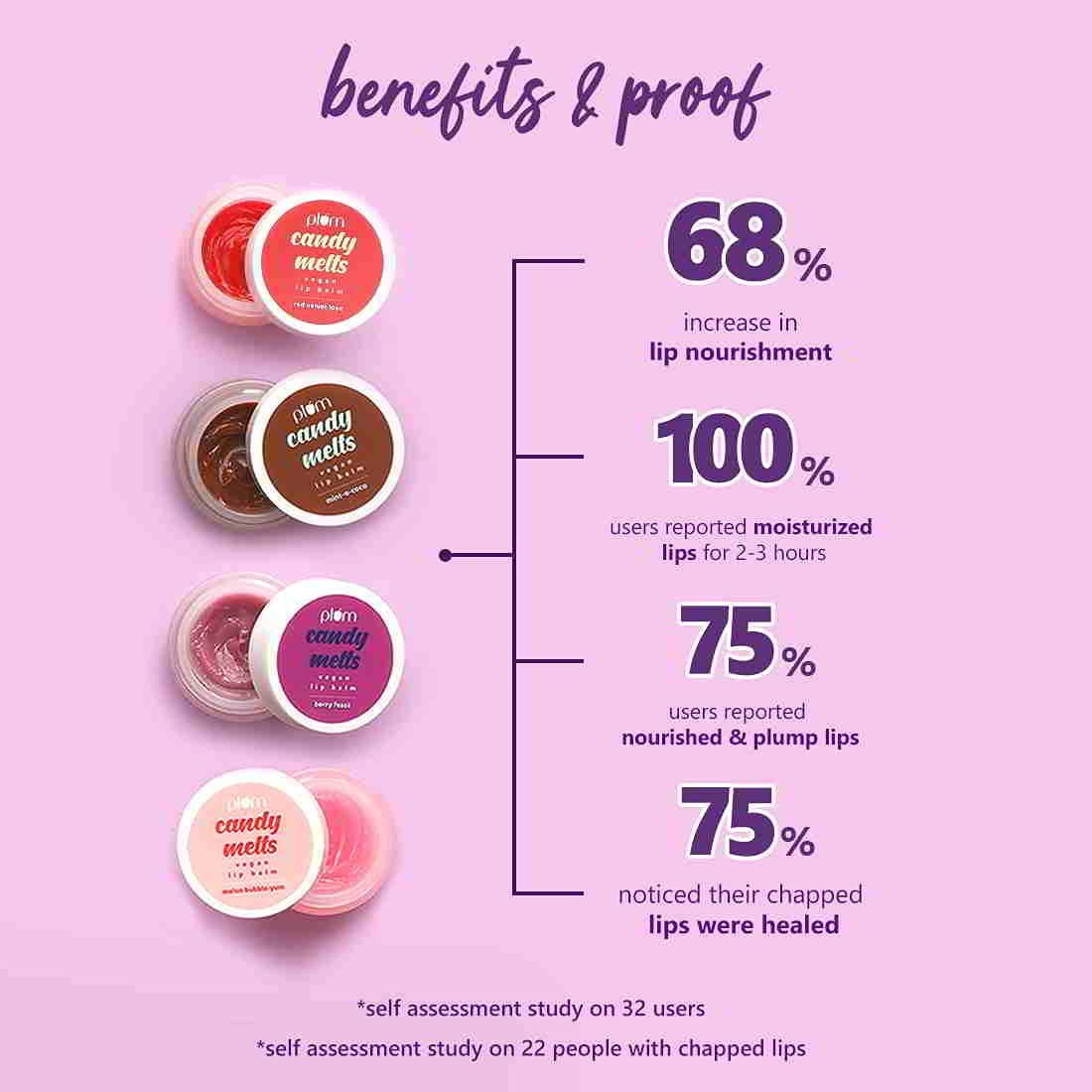 Plum Candy Melts Vegan Lip Balm | Melon Bubble-Yum | Natural UV Protection | Ultra Moisturization | Added Shine | 100% Vegan | Paraben Free | 12g - Image 6