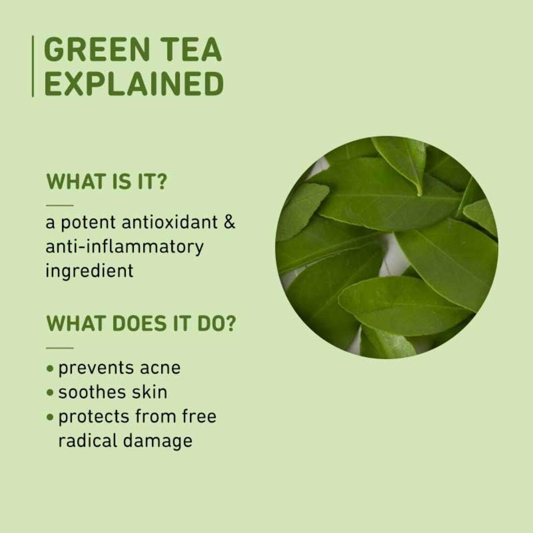 Plum Green Tea Day-Light Sunscreen Spf 35 Pa+++, 50 ml, for Oily & Ance Prone Skin, Vegan Skin Care - Image 4