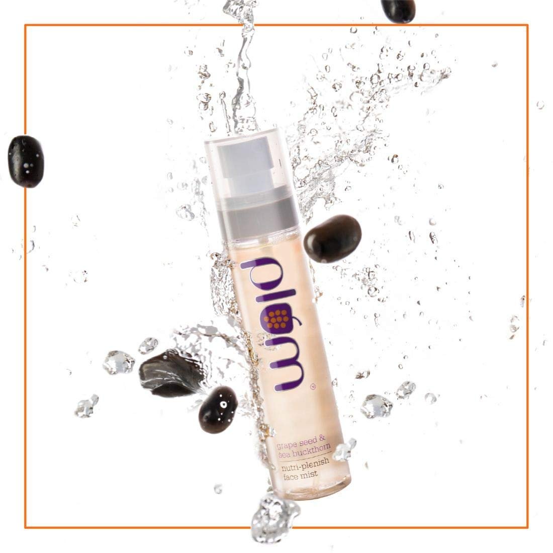 Plum Grape Seed & Sea Buckthorn Nutri-Plenish Face Mist | For Dry, Sensitive & Normal Skin | Hydrates the Skin | | 100% Vegan | Paraben Free | 100ml