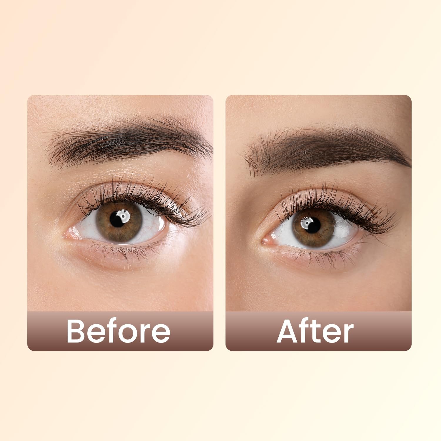 Swiss Beauty Eyebrow Definer Pencil (Coco Brown) - Image 6