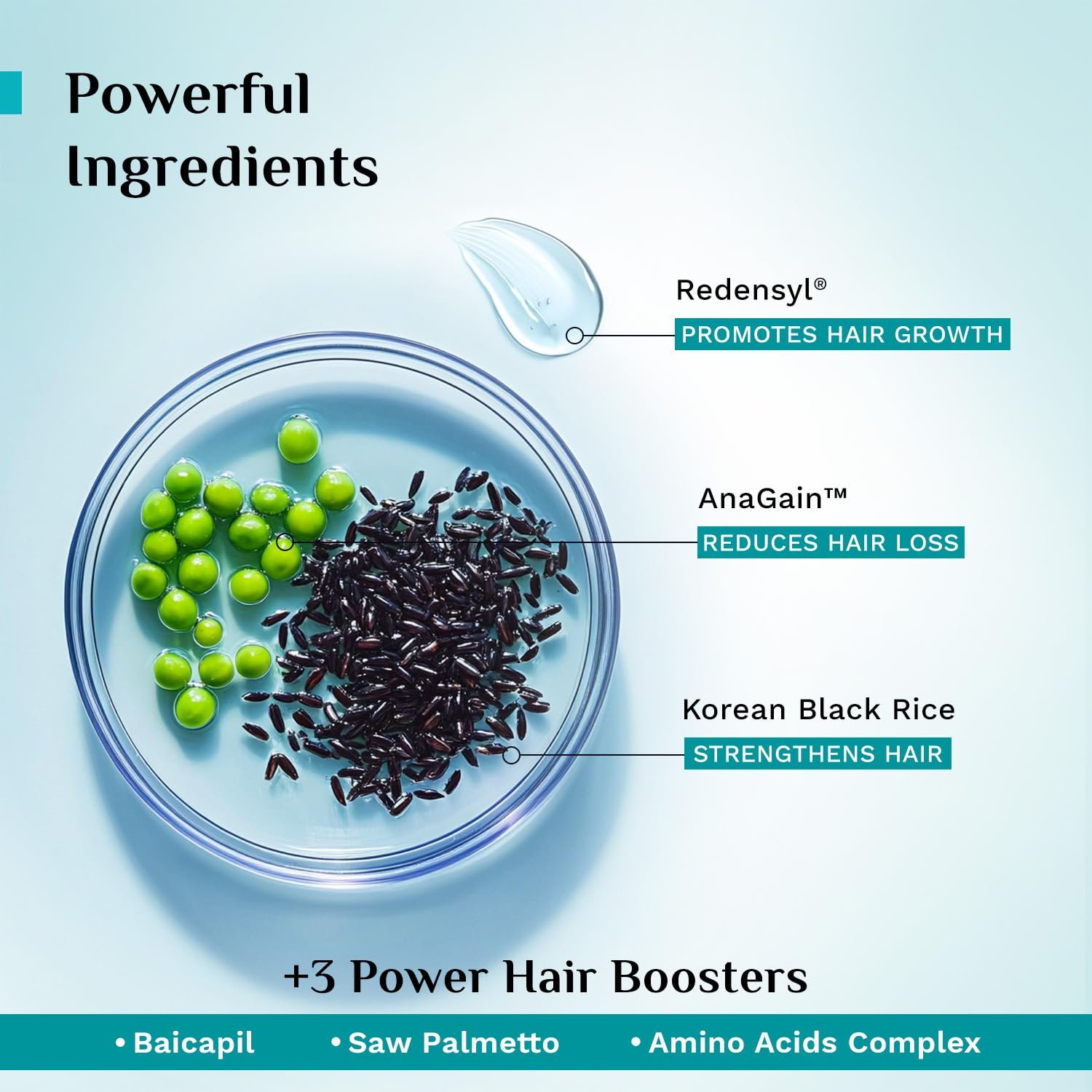Pilgrim Redensyl & Anagain Hairfall Control Shampoo with Korean Black Rice 400ml | Anti Hairfall shampoo for Men & Women | Reduces Hairfall | Promotes Hair Thickness | For All Hair Types