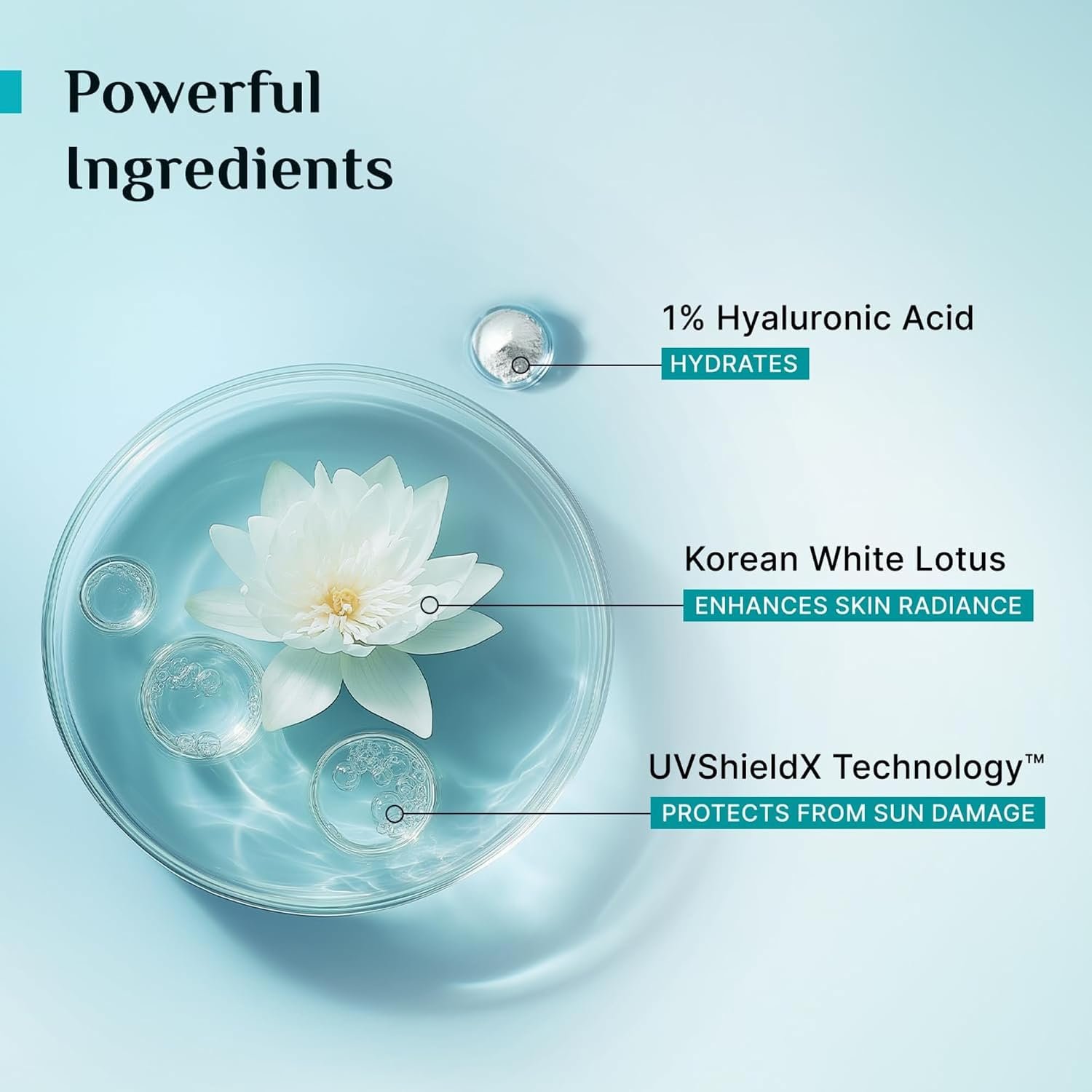 Pilgrim 1% Hyaluronic Acid Aqua Gel Sunscreen SPF 50+ PA++++ with Korean White Lotus | Lightweight Hydrating Sunscreen | Broad-Spectrum UVA & UVB Protection | No White Cast, Fragrance-Free & Non-Sticky | All Skin Types | 50 g - Image 6