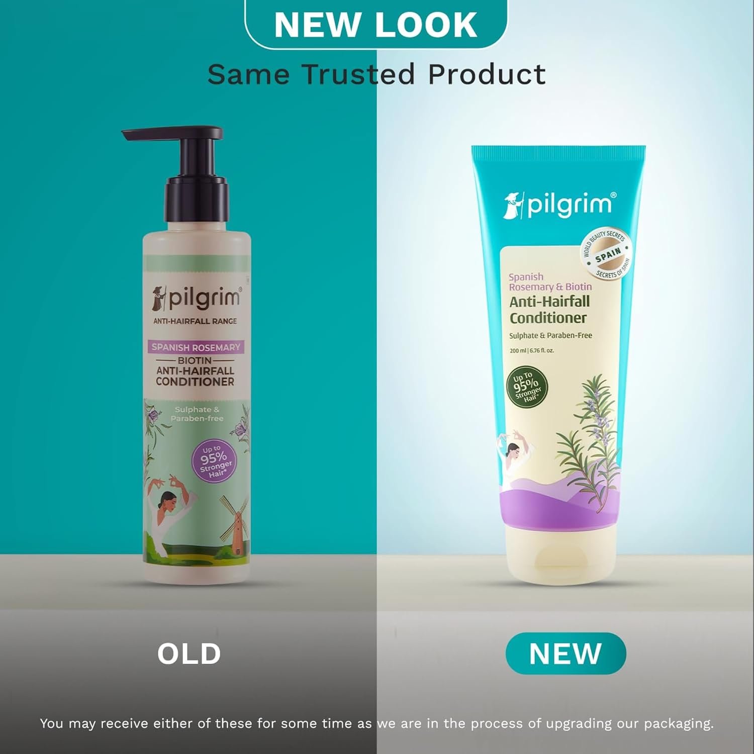 Pilgrim Spanish Rosemary & Biotin Anti Hairfall Conditioner for Reducing Hair Loss & Breakage | Upto 95% stronger hairs | Suitable for all hair types | For Men & Women 180ml